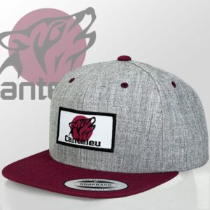 Casquette-Snapback-personnalisée-en-écusson